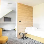 Amenity & Orlicke Hory 호텔 4*