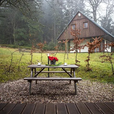 Amenity & Orlicke Hory 4* Destne v Orlickych horach