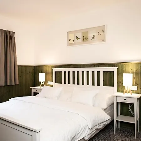 Hotel Amenity & Orlicke Hory 4*