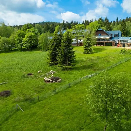Hotel Amenity & Orlicke Hory Destne v Orlickych horach