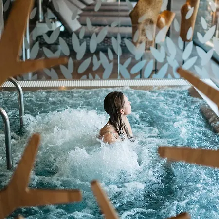 Hotel Amenity & Orlicke Hory 4*