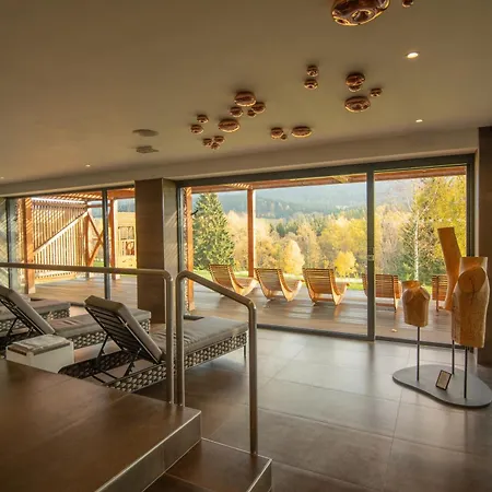 Hotel Amenity Hotel&resort Orlické Hory Destne v Orlickych horach