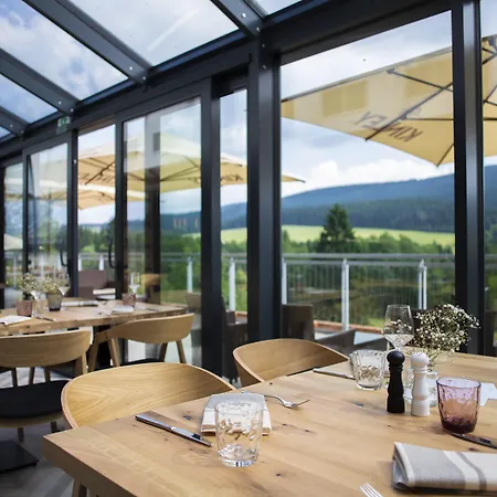 Hotel Amenity & Orlicke Hory Destne v Orlickych horach