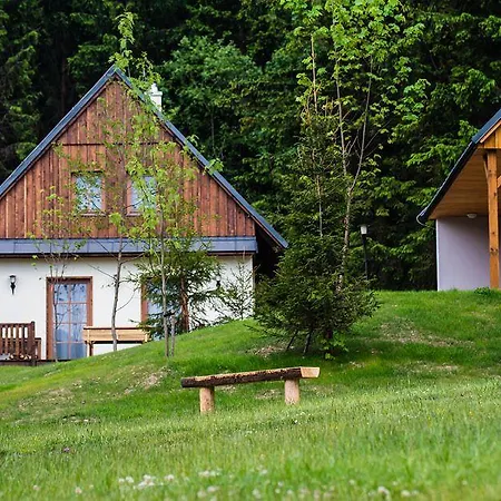 Amenity & Orlicke Hory 4* Destne v Orlickych horach
