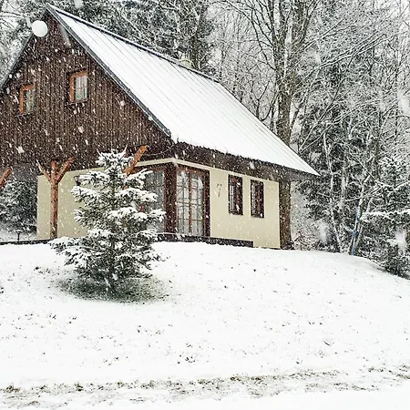 Amenity & Orlicke Hory Отель Дештне в Орлицких горах