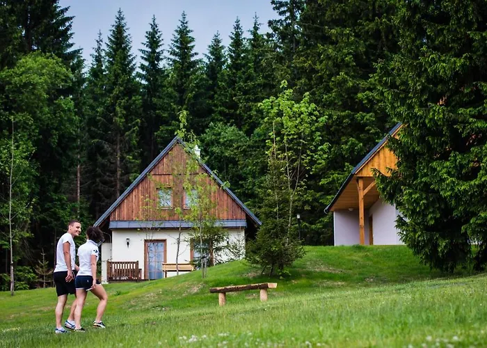 Amenity & Orlicke Hory Отель Дештне в Орлицких горах