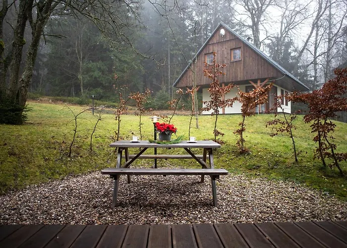 Amenity & Orlicke Hory 4* Дештне в Орлицких горах