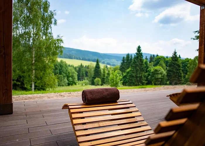 Amenity & Orlicke Hory Отель 4*