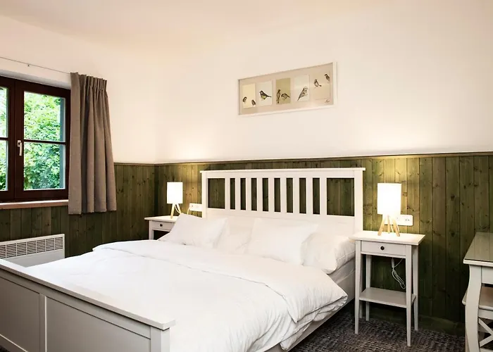 Отель Amenity & Orlicke Hory 4*