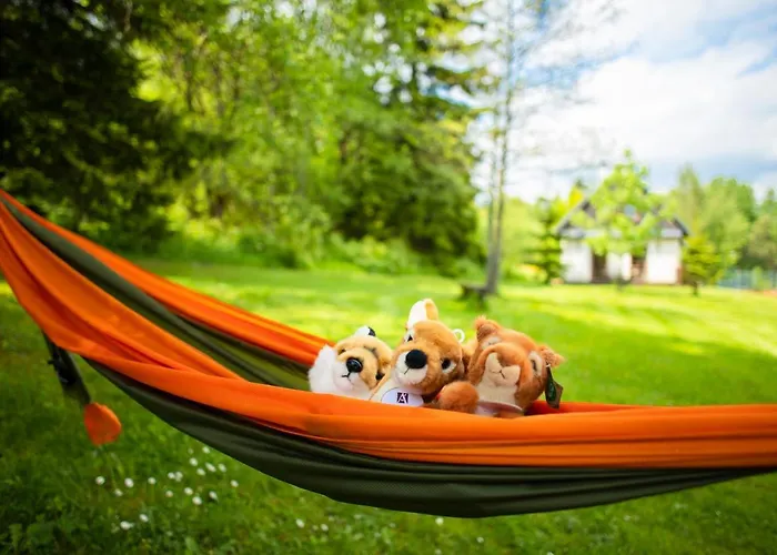 Amenity & Orlicke Hory Отель Дештне в Орлицких горах