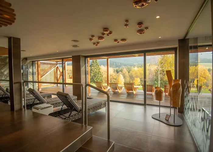 Отель Amenity & Orlicke Hory Дештне в Орлицких горах